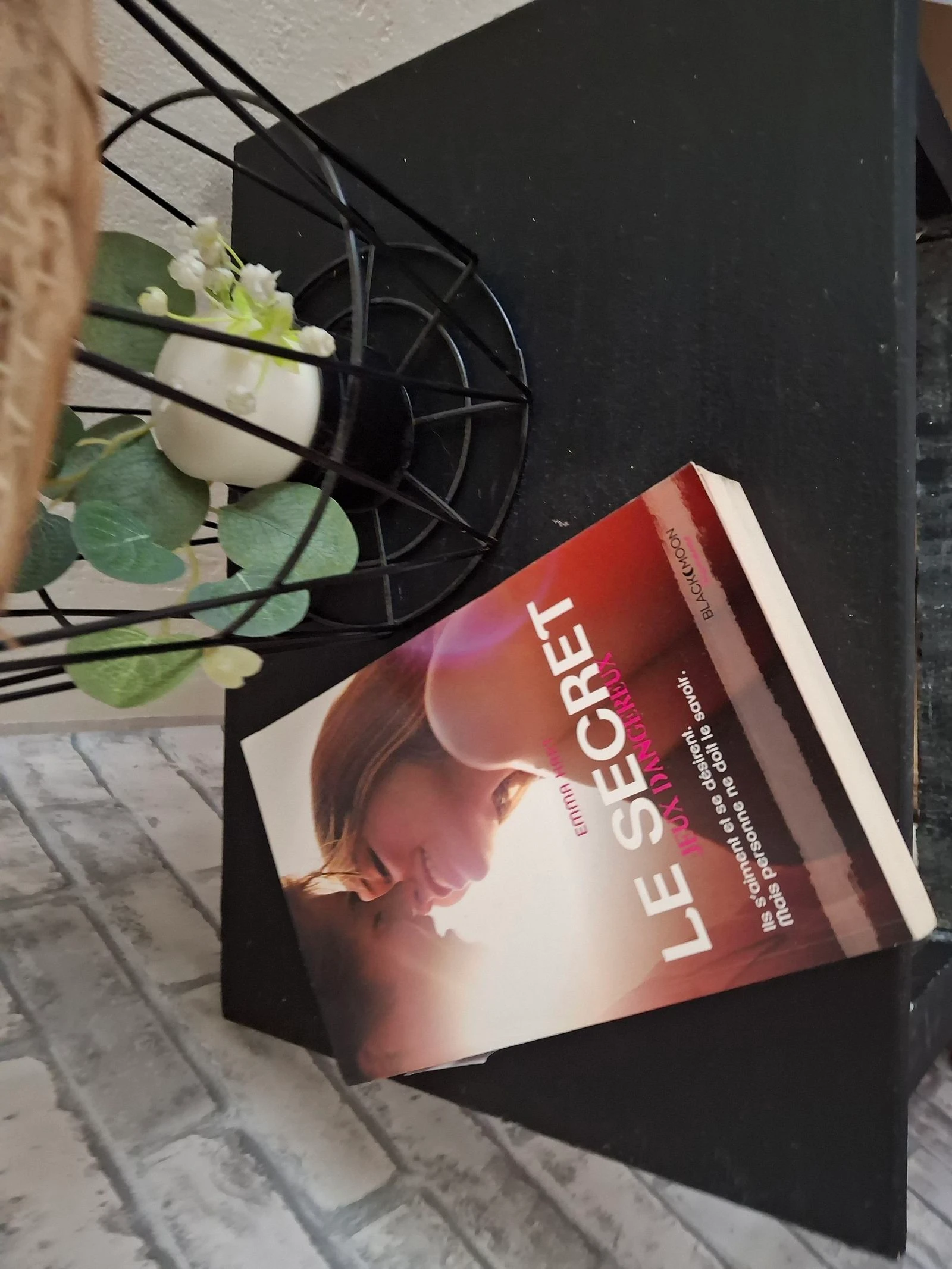 Roman Le secret jeux dangereux Emma hart